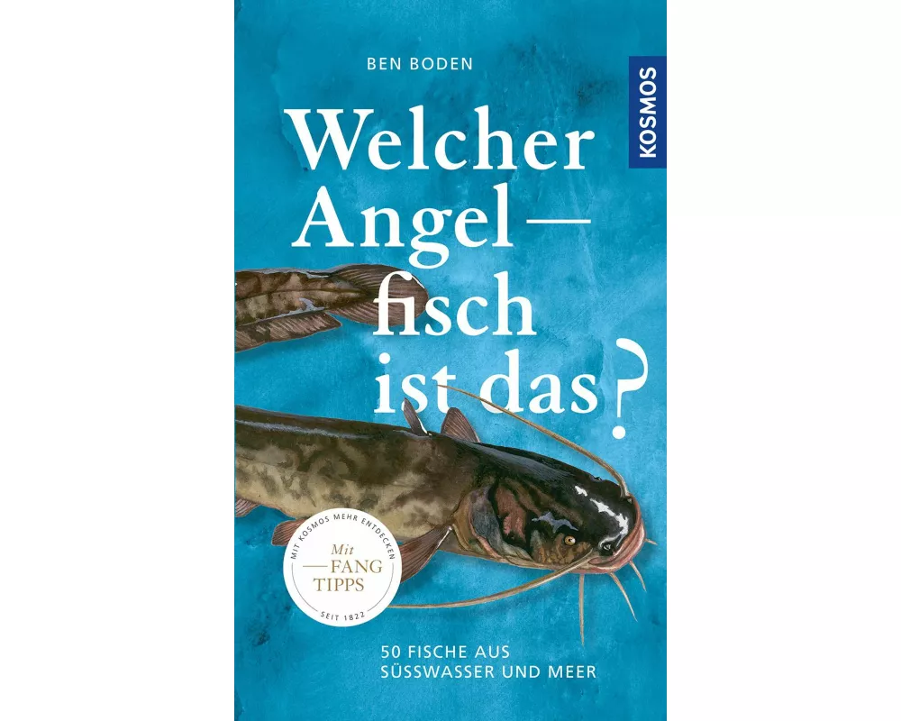 Welcher Angelfisch ist das?
