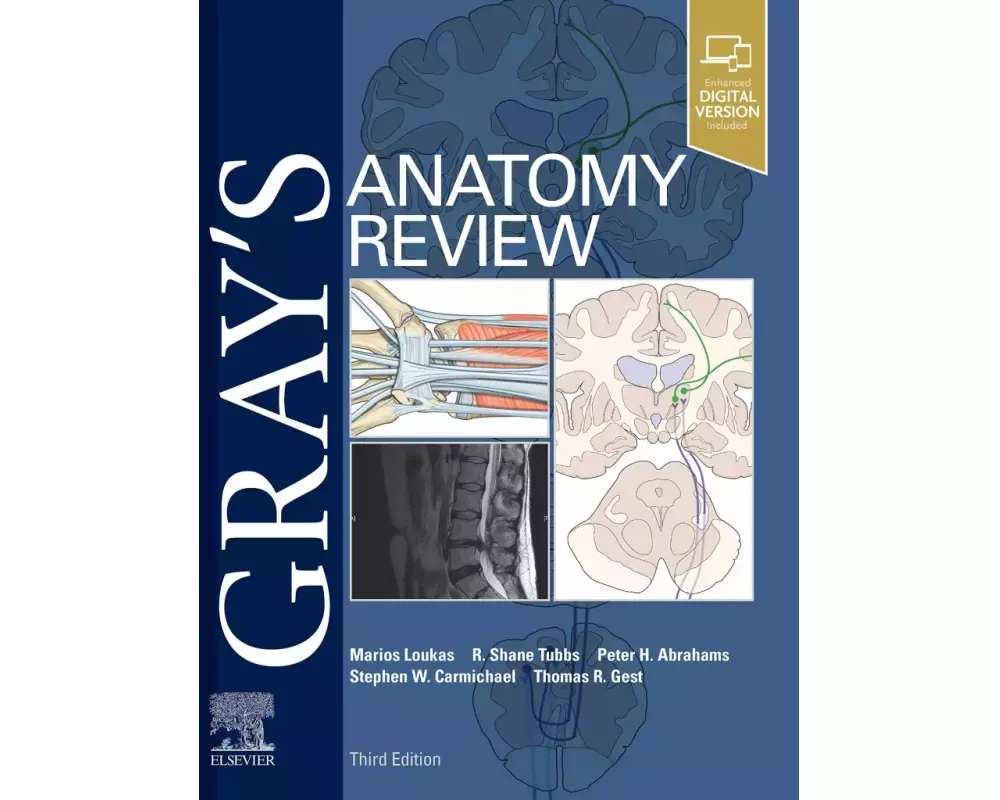 Gray's Anatomy Review