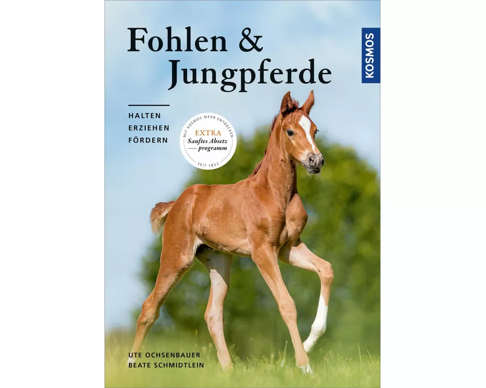 Fohlen und Jungpferde