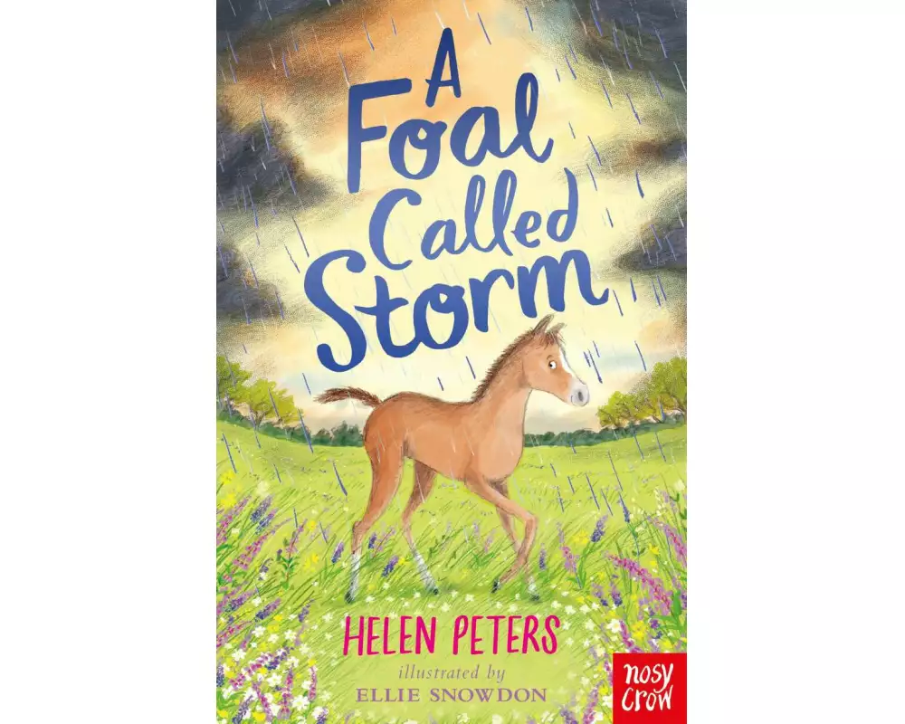 A Foal Called Storm