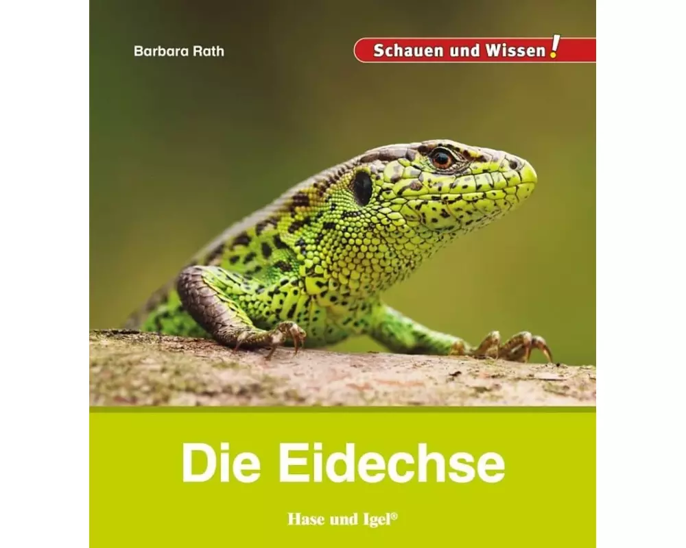 Die Eidechse