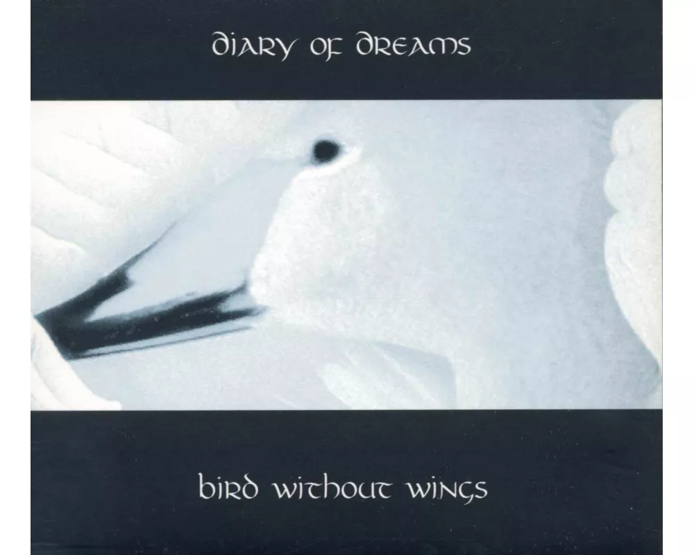 Bird Without Wings