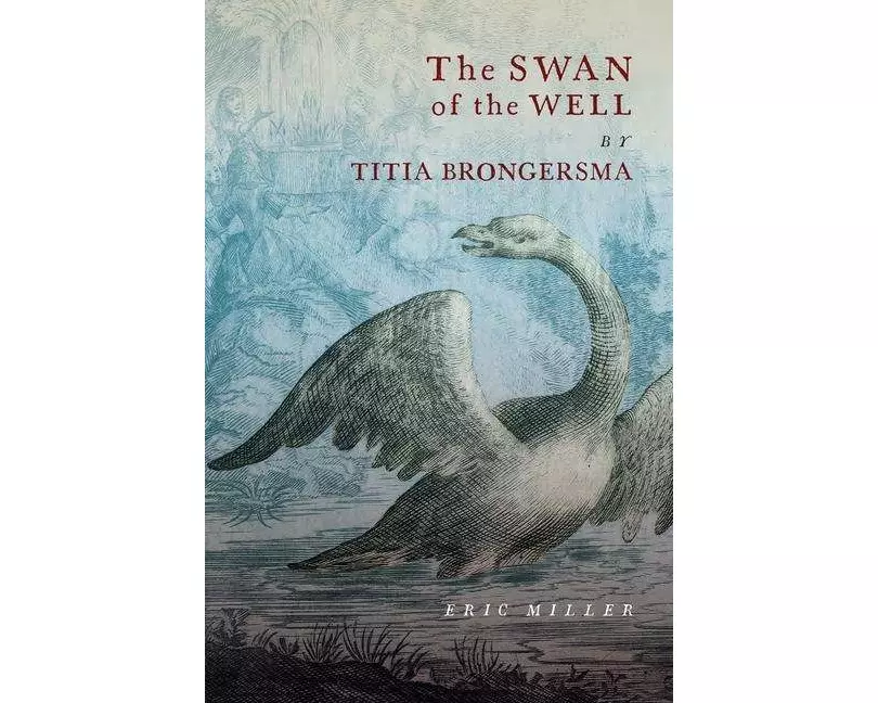 The Swan of the Well by Titia Brongersma