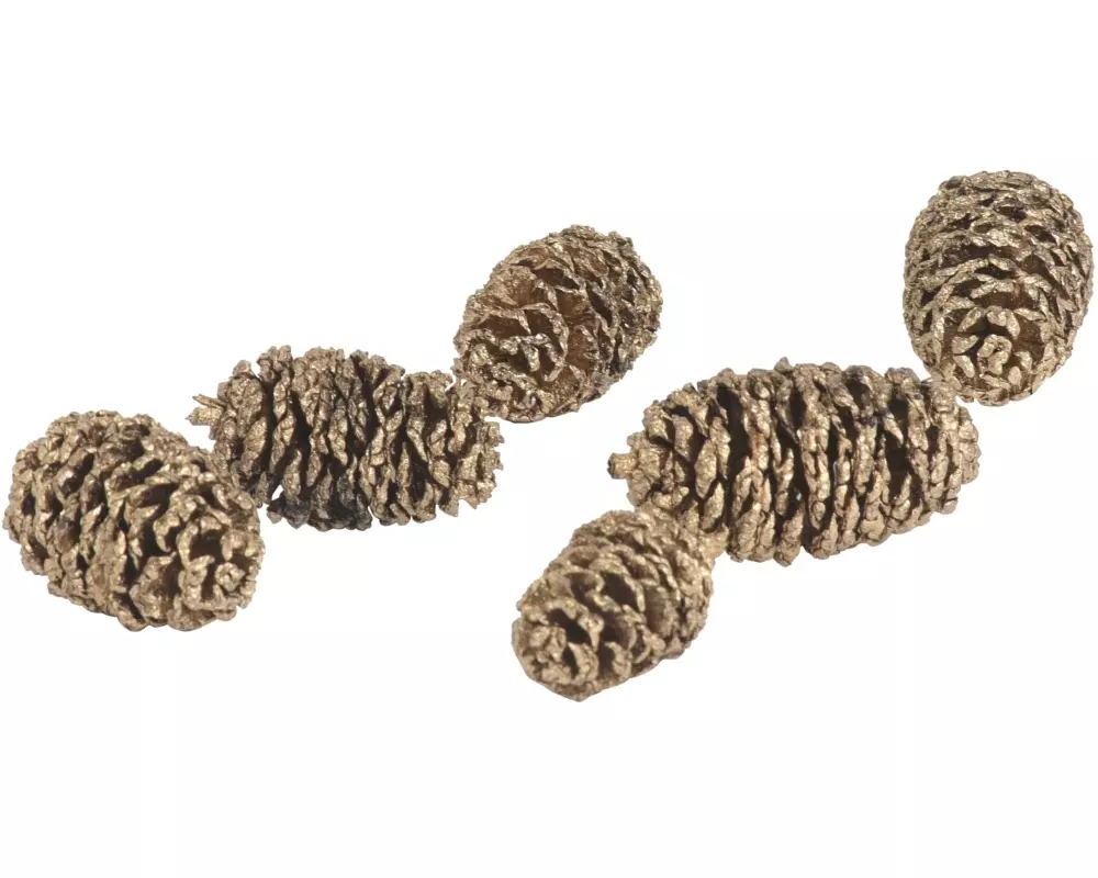 COCON Streudeko Erlenzapfen Gold, 150g