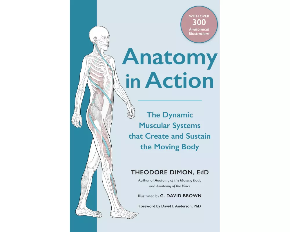 Anatomy in Action