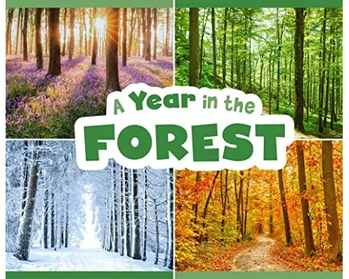 A Year in the Forest