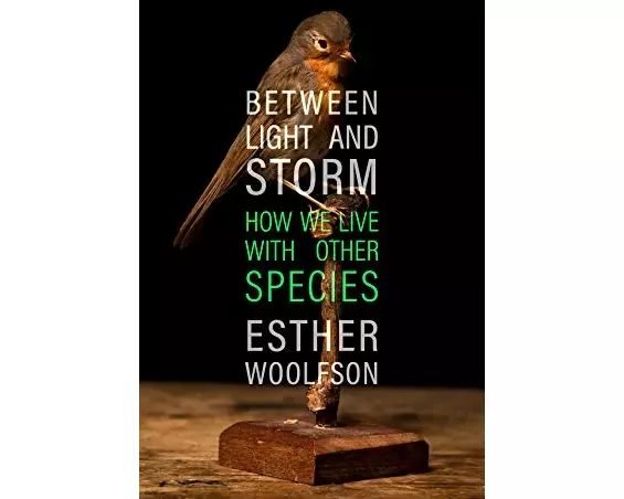 Between Light and Storm