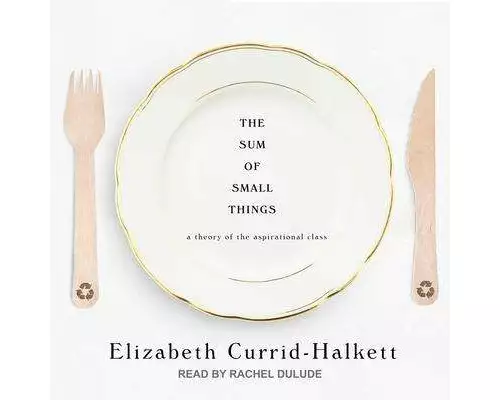 The Sum of Small Things: A Theory of the Aspirational Class