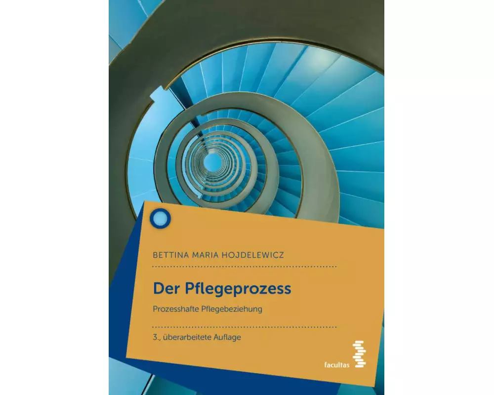 Der Pflegeprozess