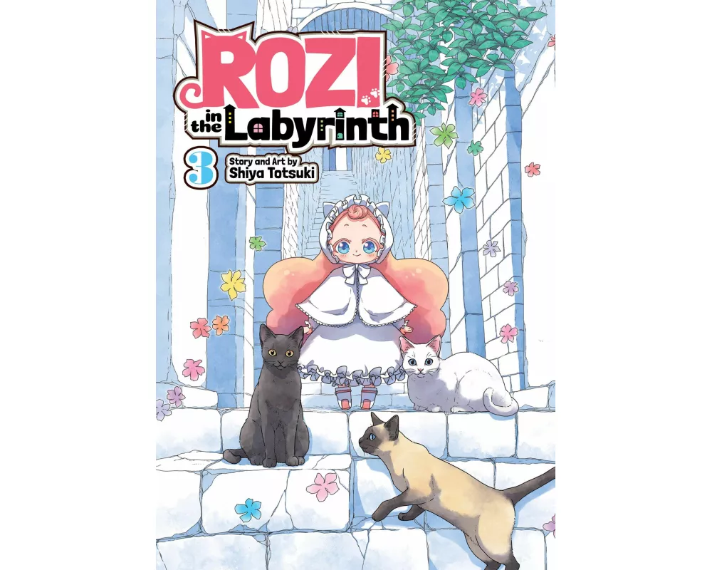 Rozi in the Labyrinth Vol. 3