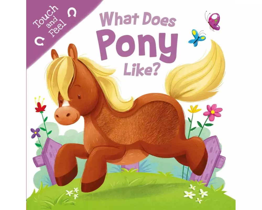 What Does Pony Like?: Touch & Feel Board Book