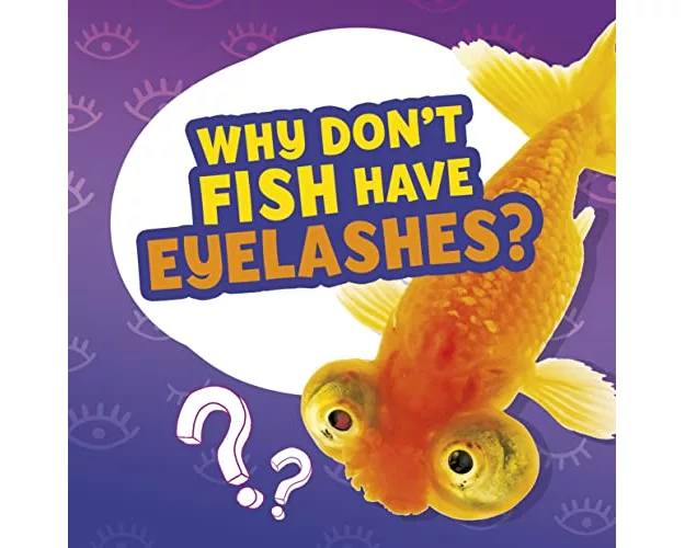 Why Don't Fish Have Eyelashes?
