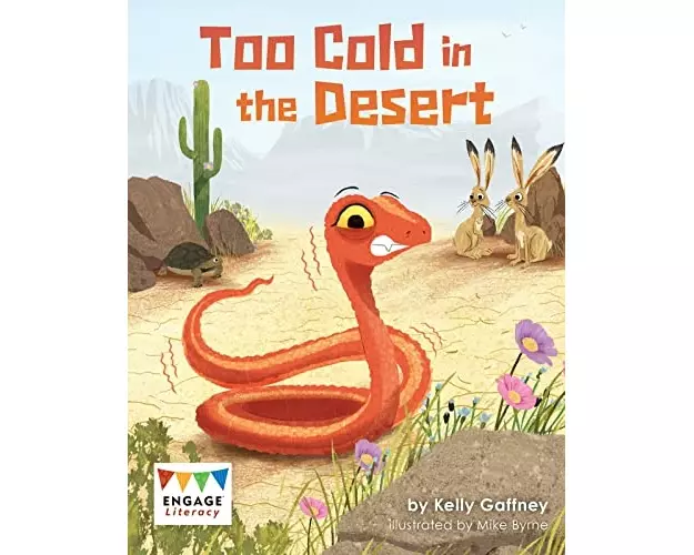Too Cold In The Desert