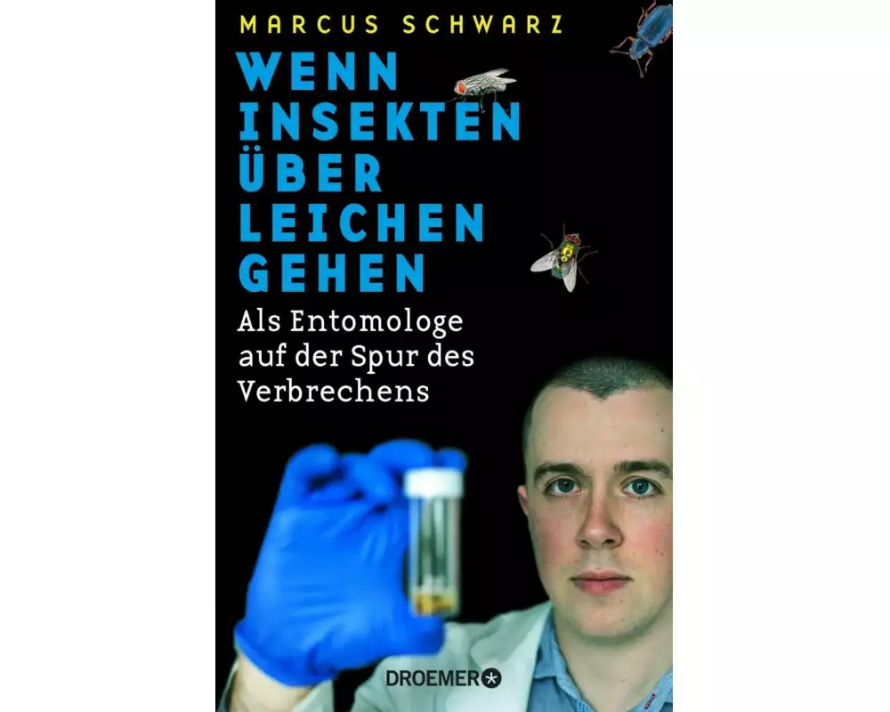 Wenn Insekten über Leichen gehen