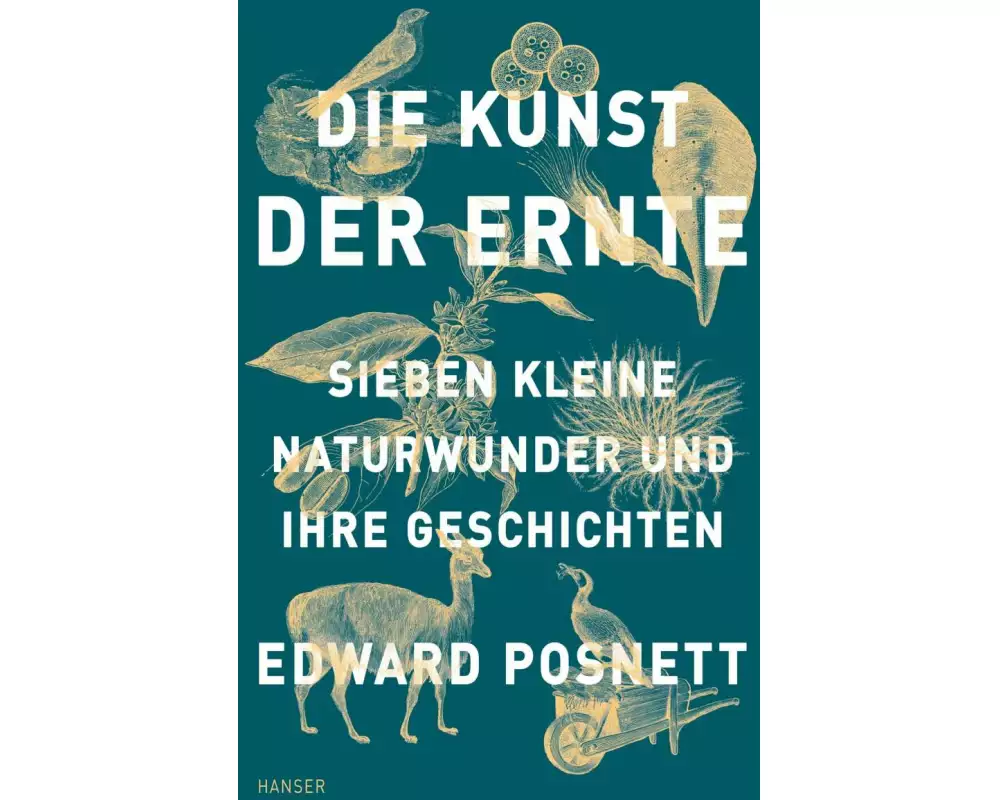 Die Kunst der Ernte