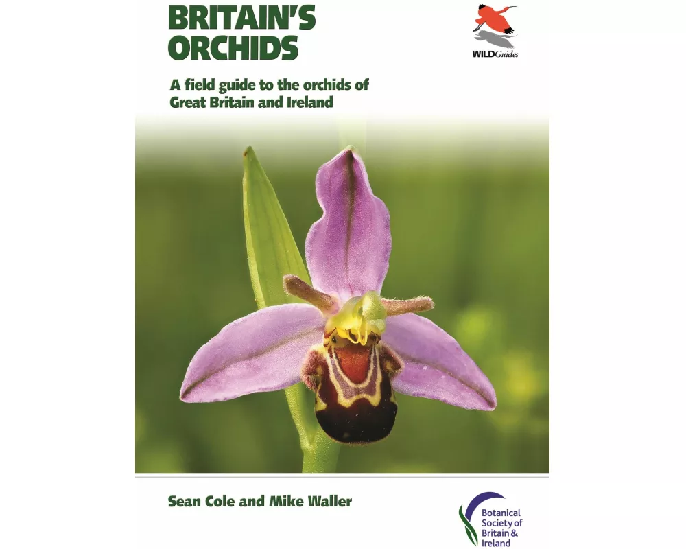 Britain's Orchids