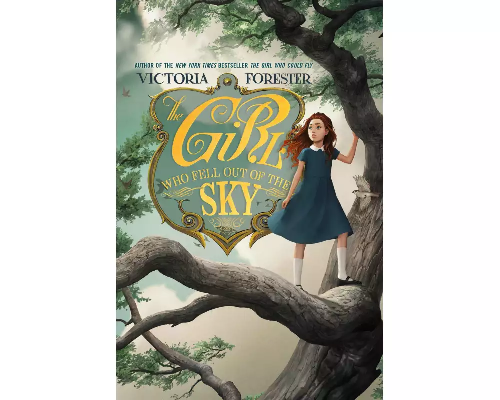 The Girl Who Fell Out of the Sky