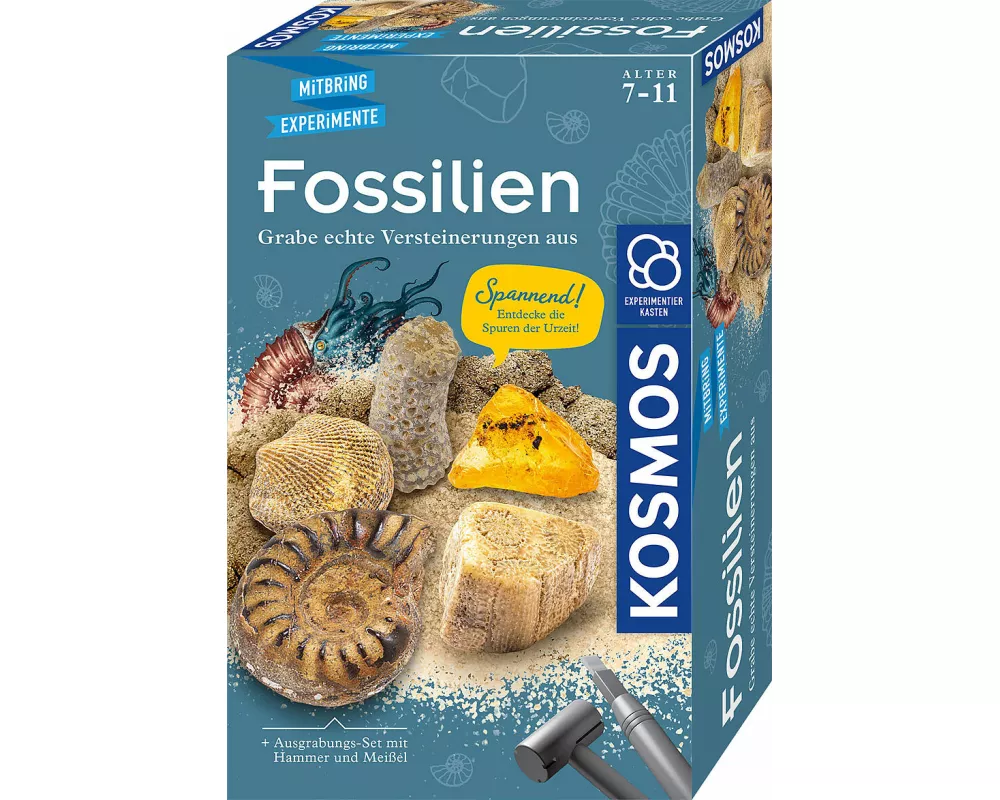 Fossilien