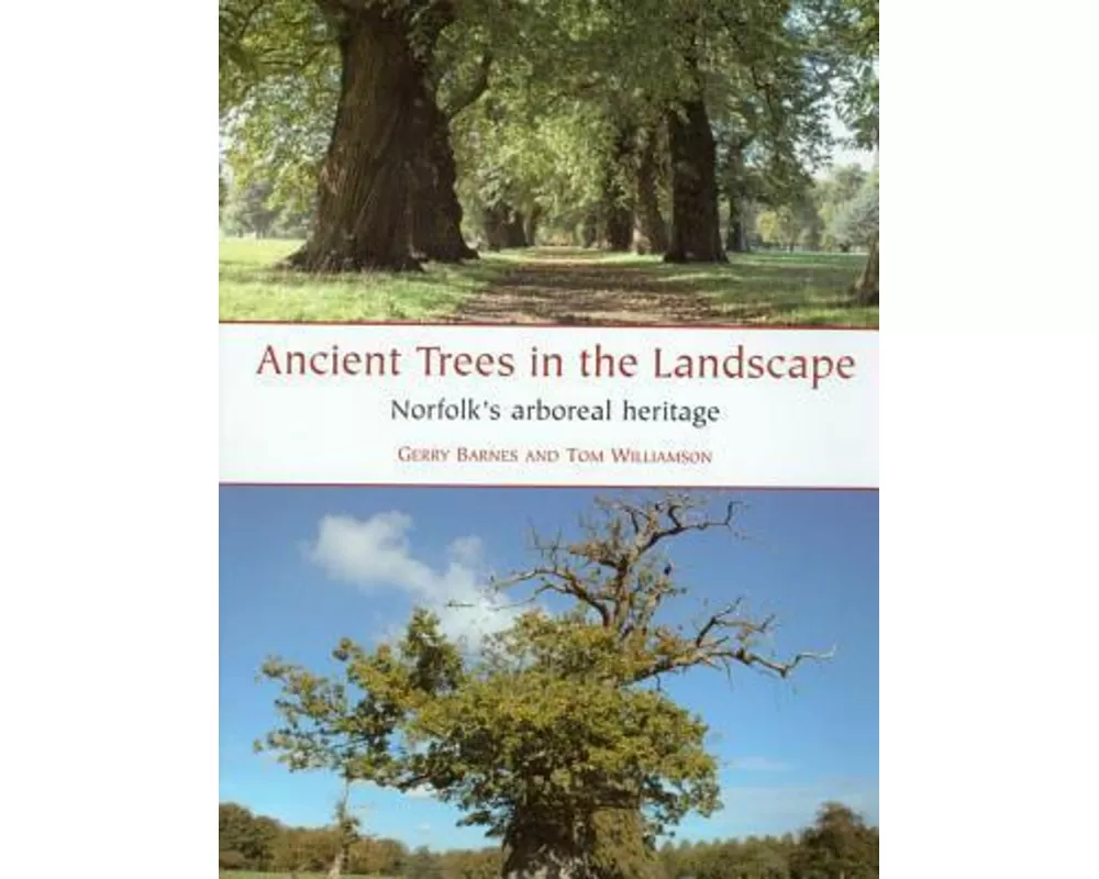 Ancient Trees in the Landscape