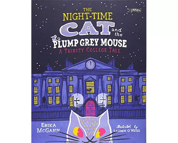 The Night-time Cat and the Plump, Grey Mouse