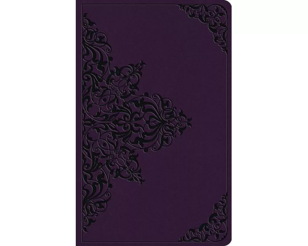 ESV Large Print Value Thinline Bible