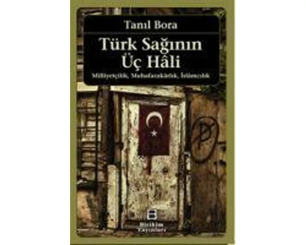 Türk Saginin Üc Hali