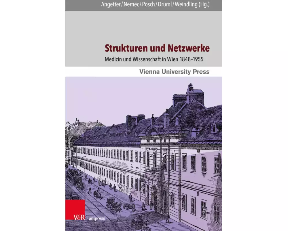 Strukturen und Netzwerke