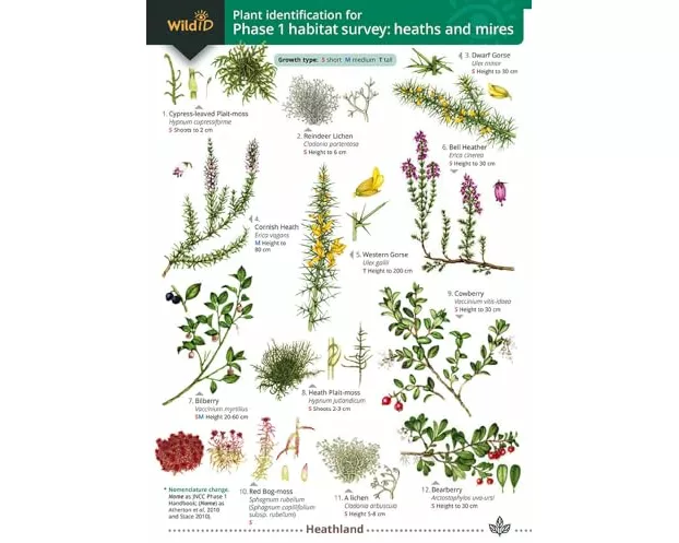 Plant identification for Phase 1 habitat survey: heaths and meres
