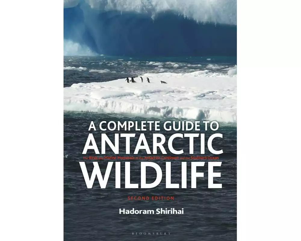 A Complete Guide to Antarctic Wildlife