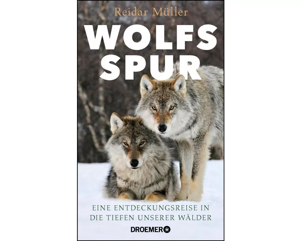 Wolfsspur