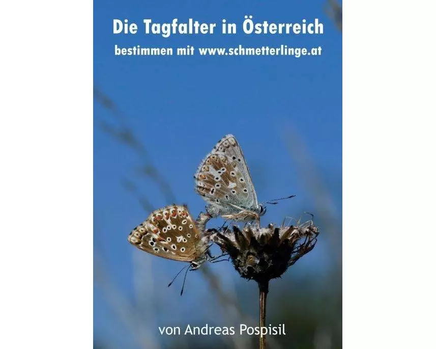 Die Tagfalter Österreichs bestimmen