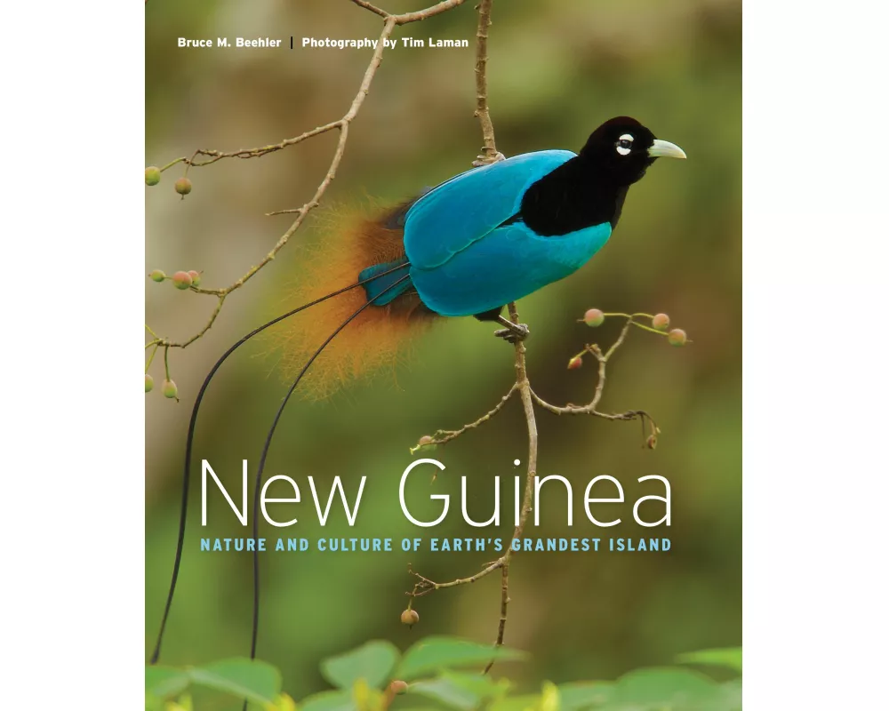 New Guinea