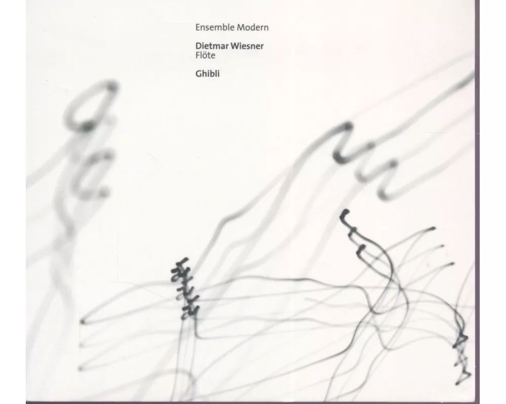 Dietmar Wiesner (Portrait): Ghibli