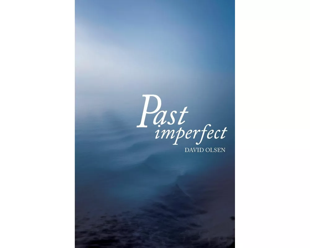 Past Imperfect