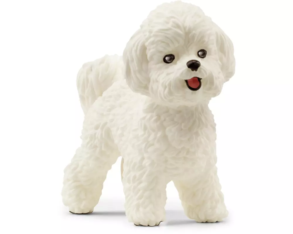 Schleich Spielzeugfigur Farm World Bichon Frisé
