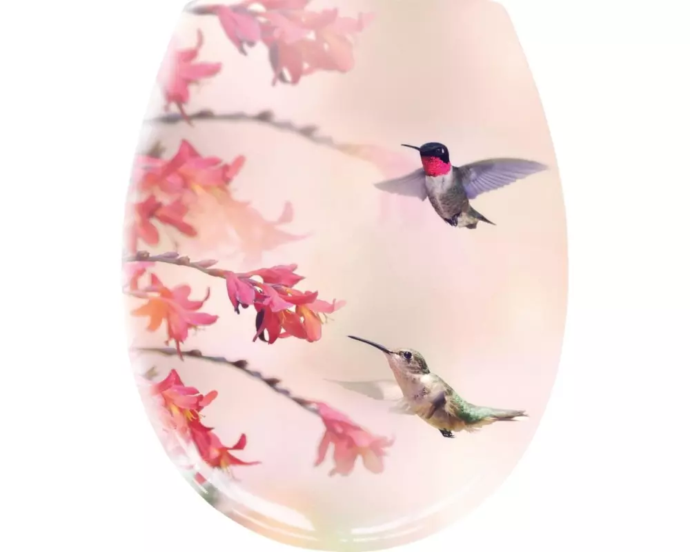 Kleine Wolke Toilettensitz Kolibri mit Absenkautomatik, Rosa