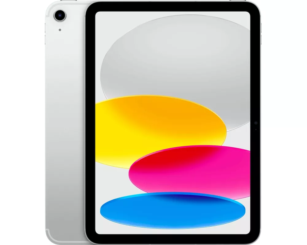 IPAD WF CL 256GB SILVER-ISP