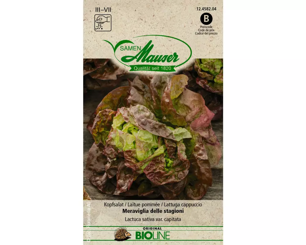 Samen Mauser Samen BIO Kopfsalat Meraviglia delle stagioni
