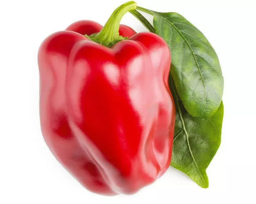 Click and Grow Samen Rote Peperoni