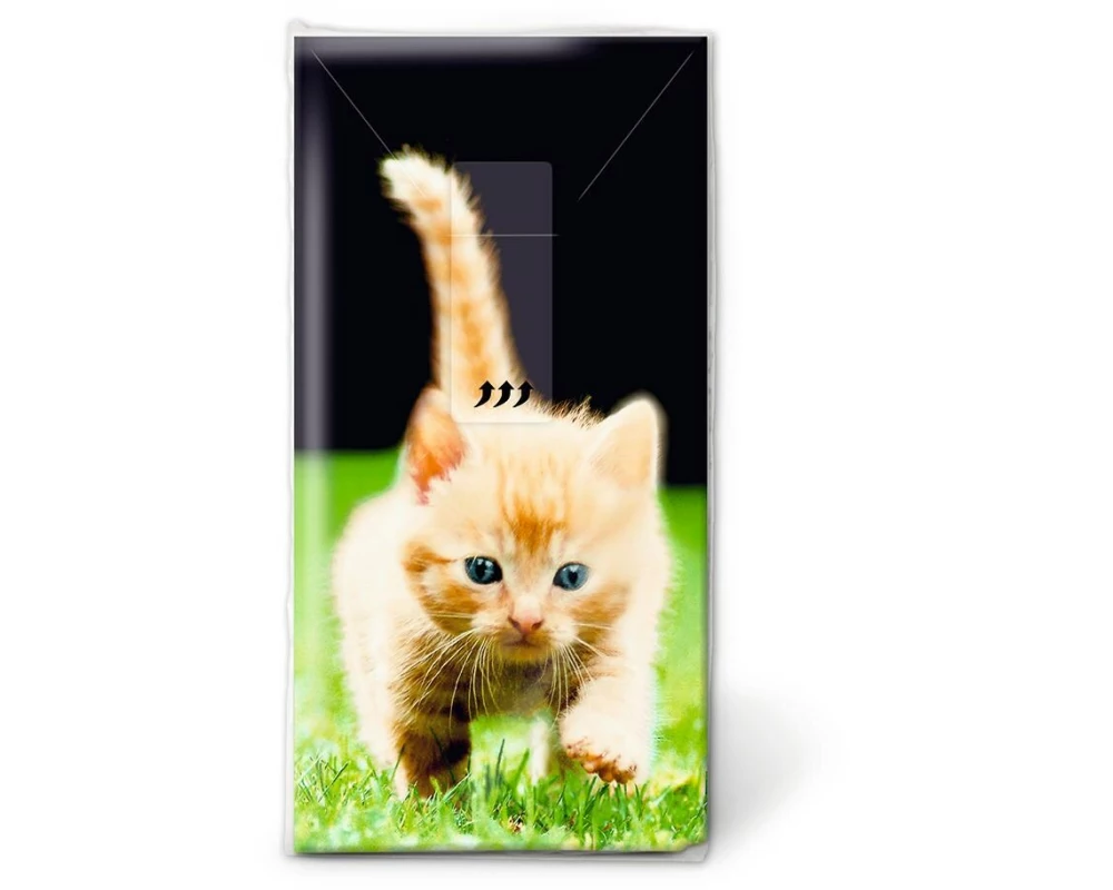 Paper + Design Taschentücher Forwards 10 Stück