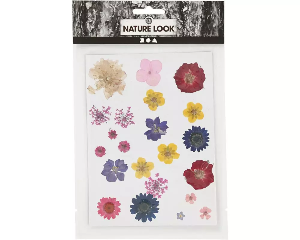 Creativ Company Streudeko Gepresste Blüten, 22 farbig sortiert