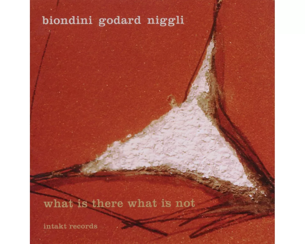 What Is There What Is Not
