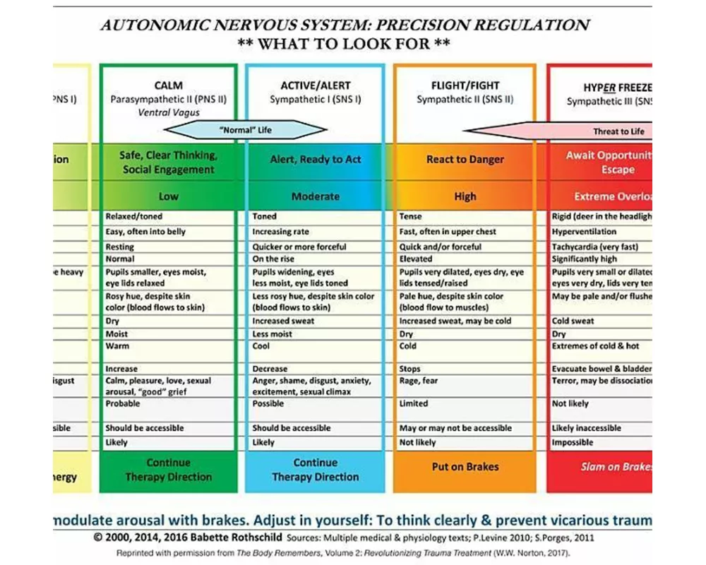 Autonomic Nervous System Table: Laminated Card