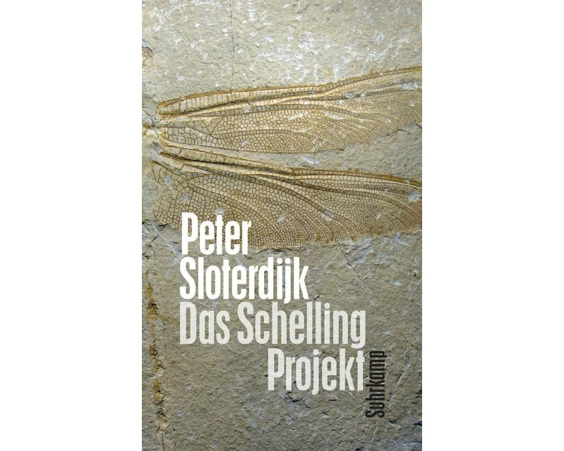 Das Schelling-Projekt