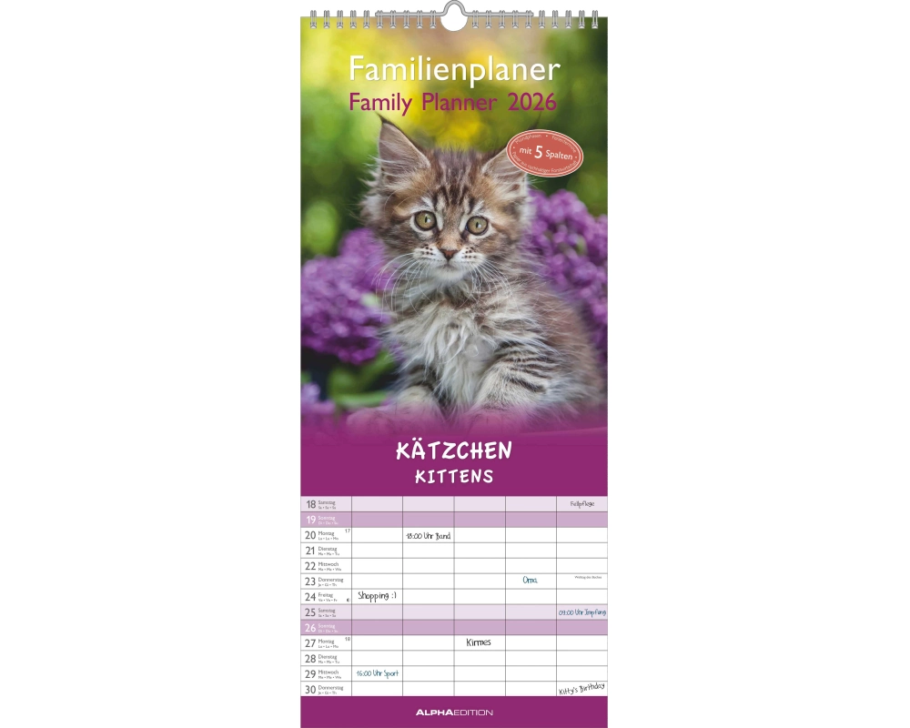 ALPHA EDITION Familienplaner 2026 160337 Kätzchen 19.5x45cm