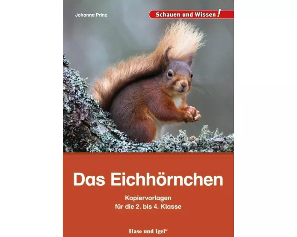 Das Eichhörnchen - Kopiervorlagen für die 2. bis 4. Klasse