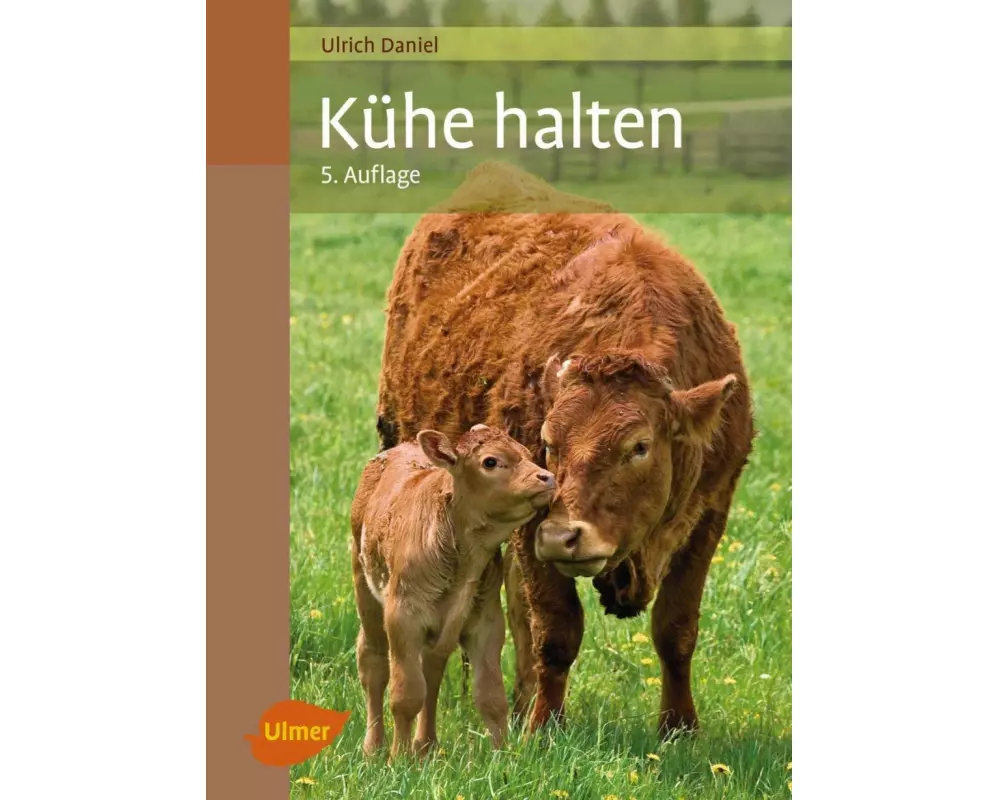 Kühe halten