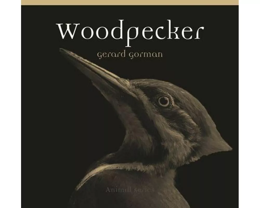 Woodpecker