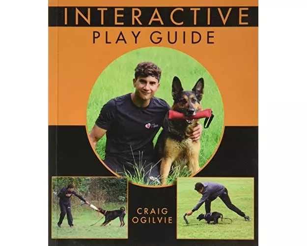 Interactive Play Guide