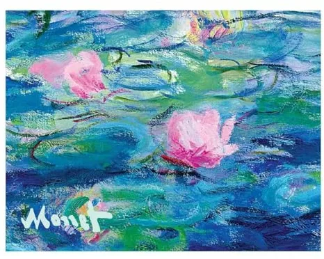 Monet Waterlilies Portfolio Notes